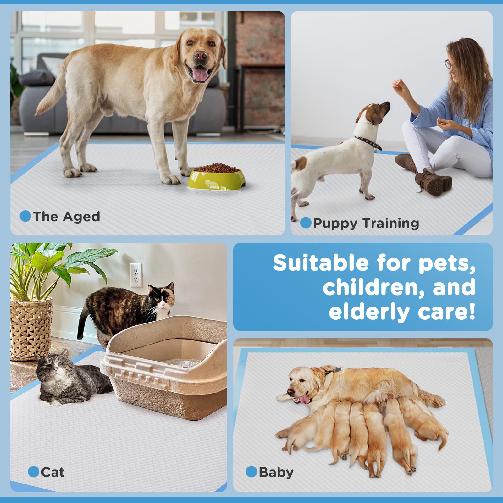 iweepet chiot posé sur tapis confortable favorisant hygiène et bien-être