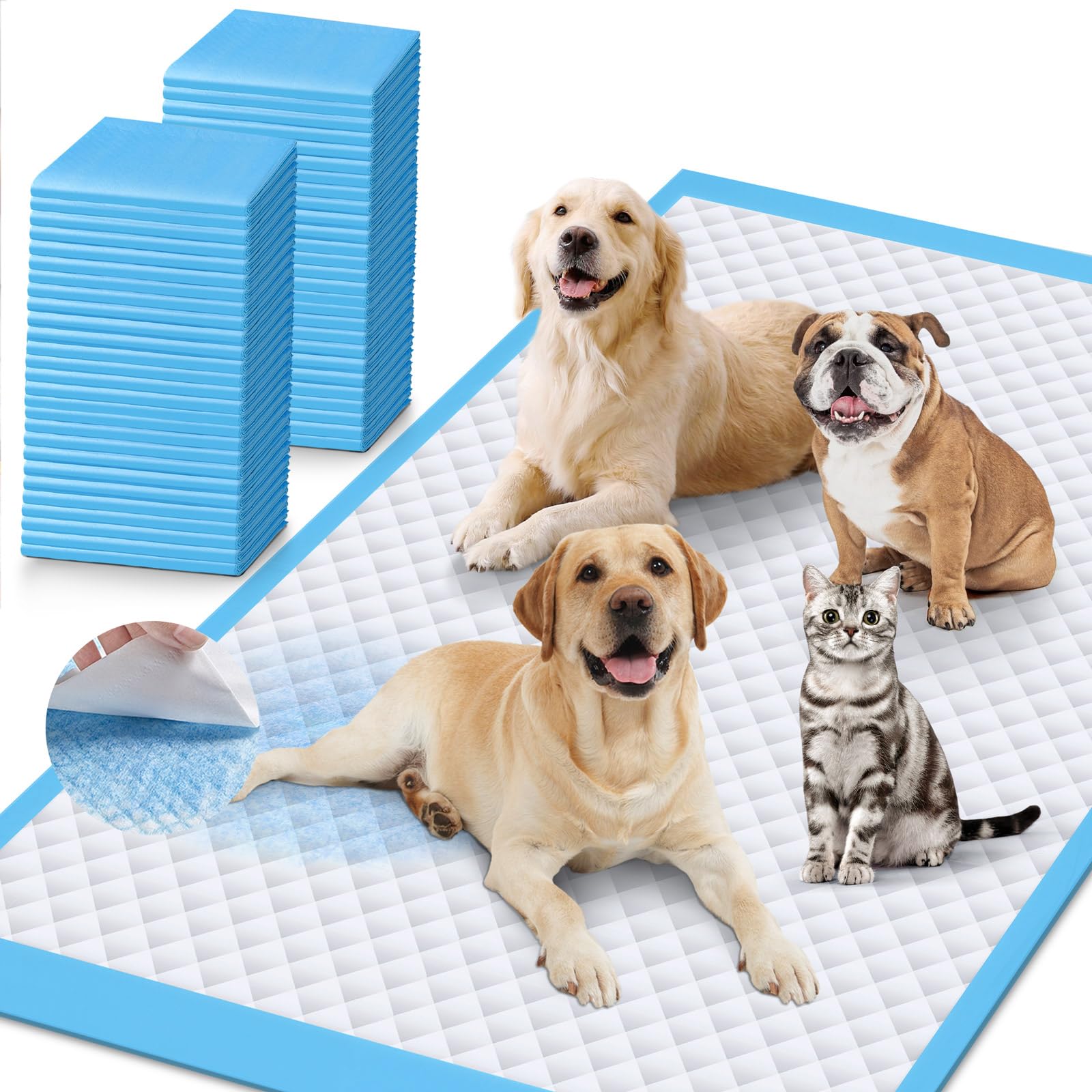 iweepet vue frontale du tapis grand format offrant protection maximale