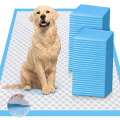 iweepet tapis 4XL face avant montrant taille et protection