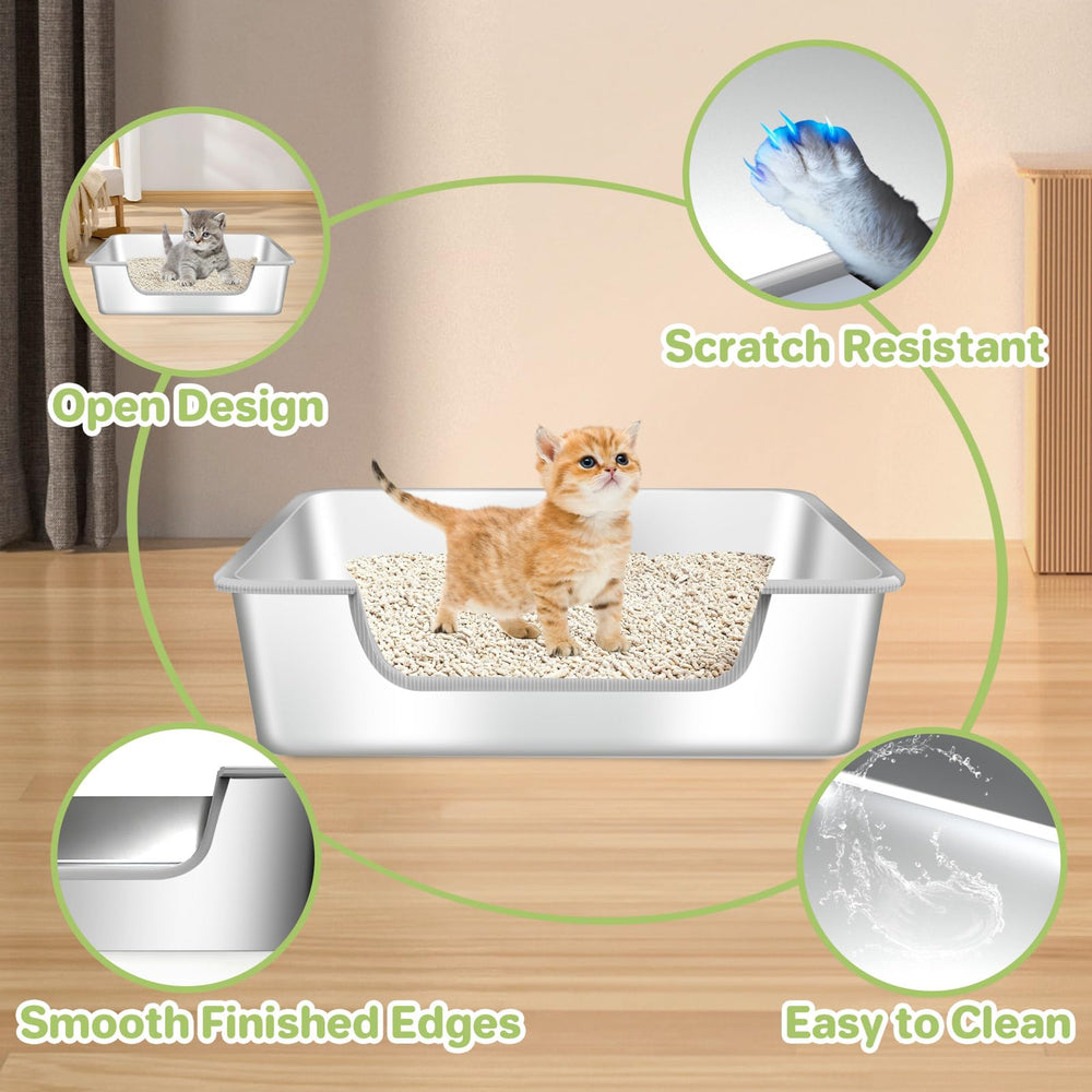 IXARO bac chaton entrant confortablement pour moins de stress