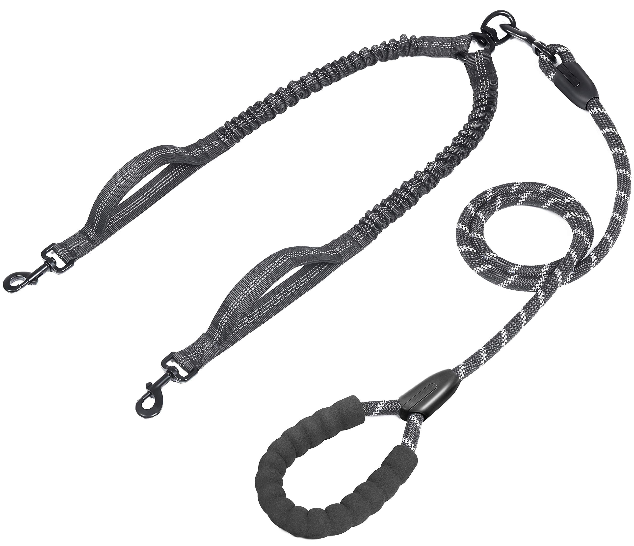 iYoPets laisse double vue générale, maintien sécurisé pour promenades