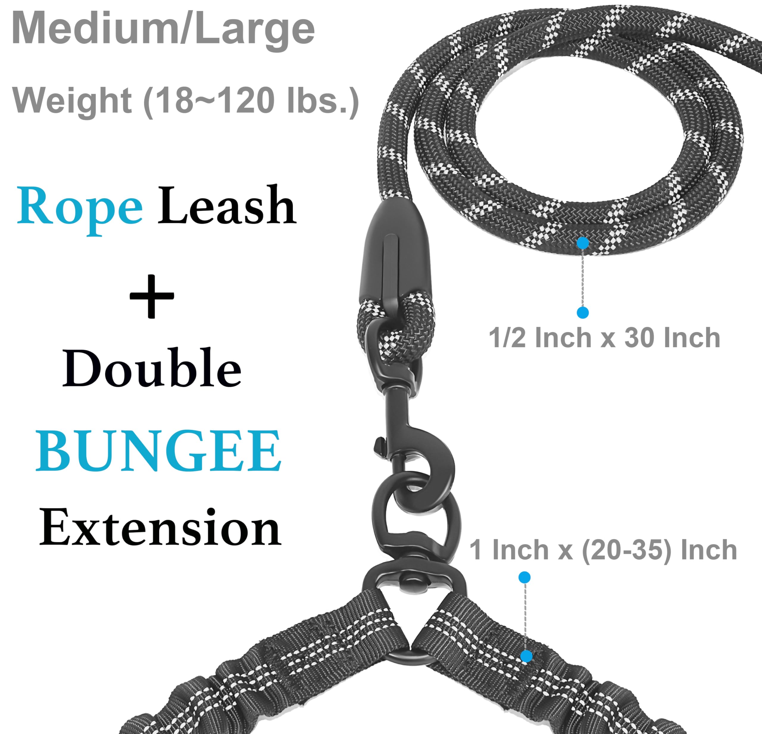 iYoPets extension bungee gros plan, absorption des chocs visible