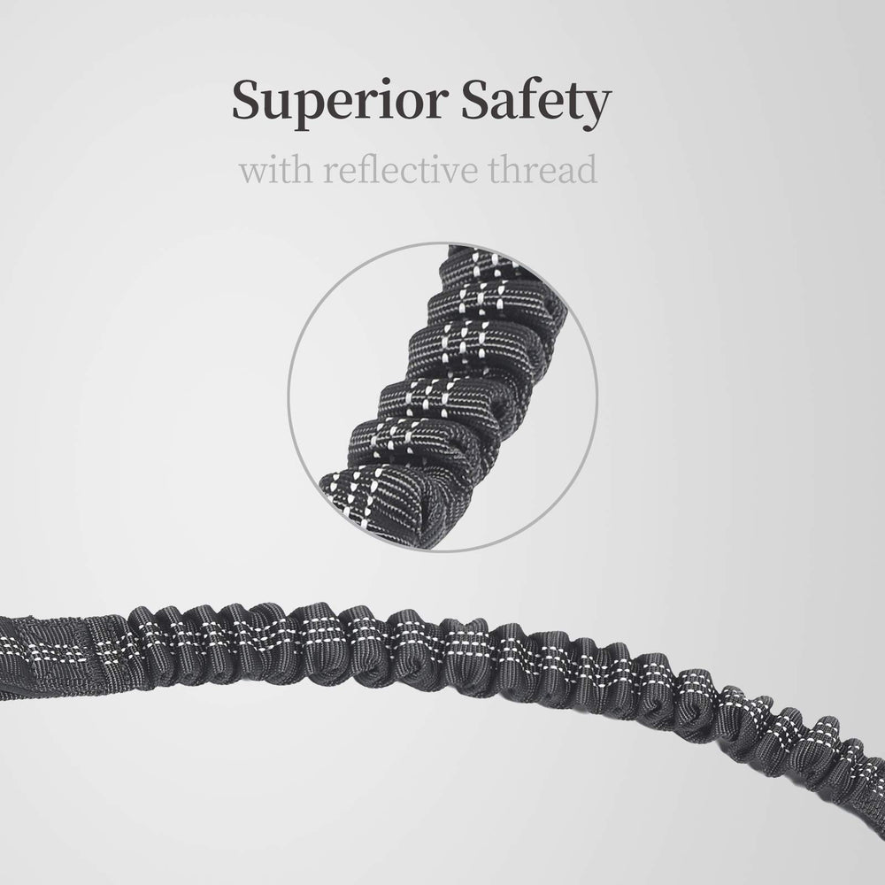 iYoPets scène parc lifestyle, élégante et robuste pour sorties quotidiennes