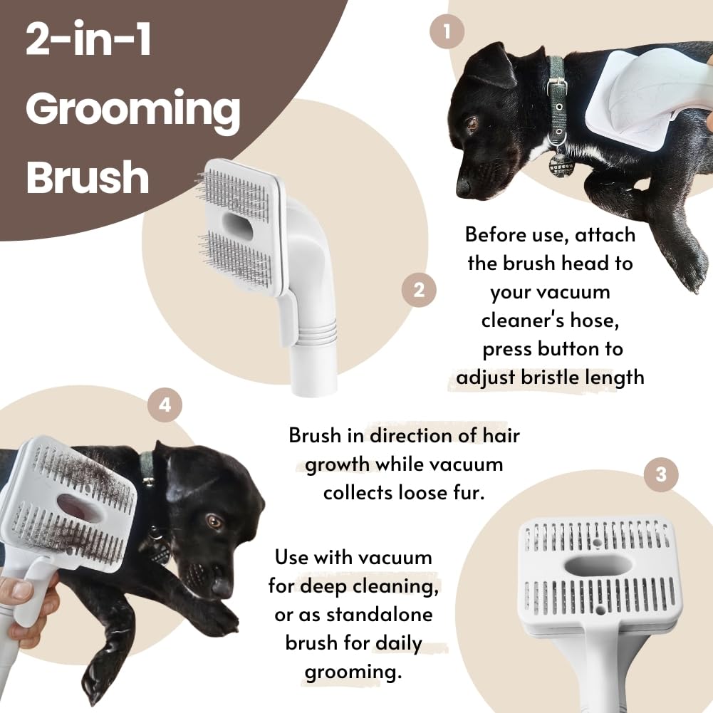 IZSOHHOME adaptation à embout d'aspirateur pour aspirer poils immédiatement