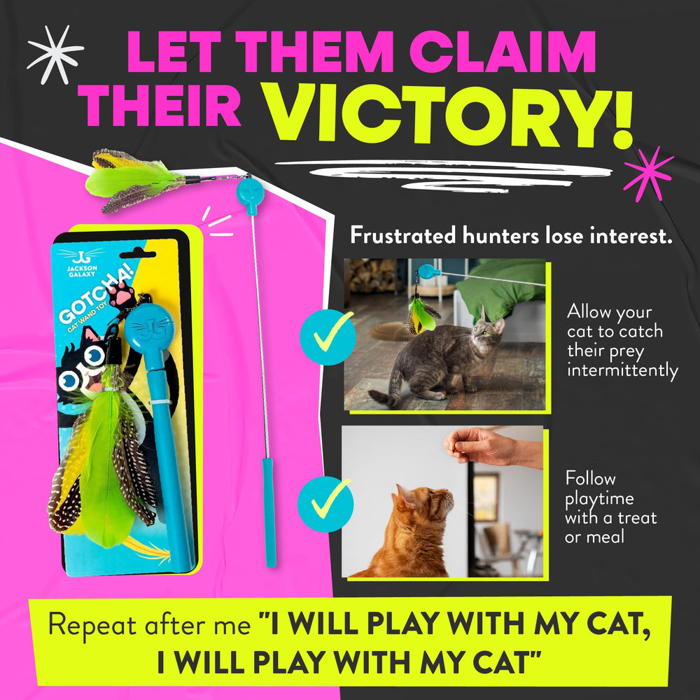 Jackson Galaxy chat bondissant capturé en pleine chasse, favorise exercice