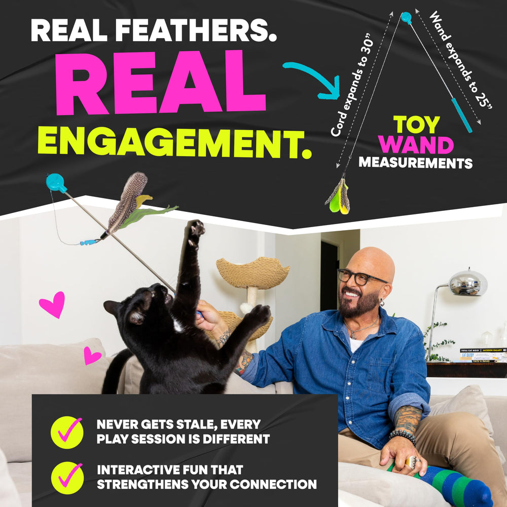 Jackson Galaxy démonstration de jeu au sol pour simuler proie terrestre