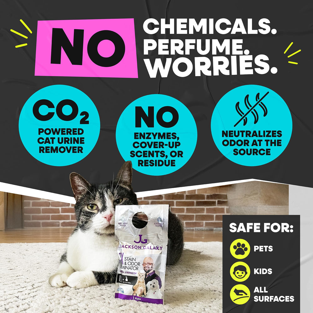 Jackson Galaxy pastille qui se dissout dans une bouteille pour préparer la solution rapidement