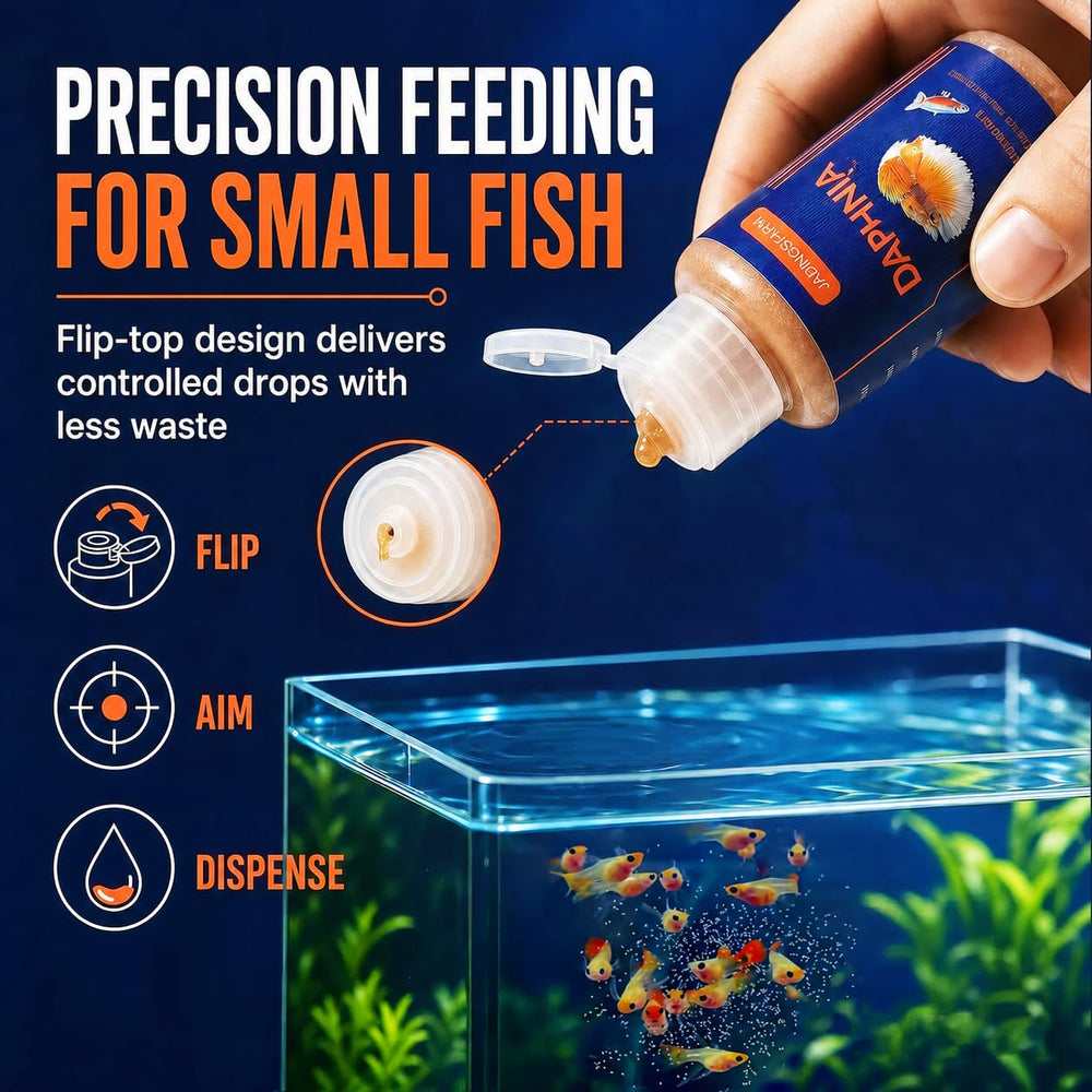 Alevins acceptant JADINGSFARM dans un nano-aquarium pour croissance saine