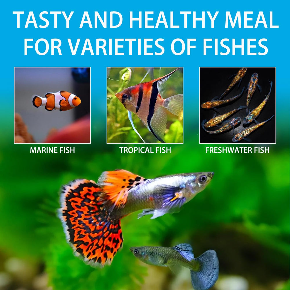 JADINGSFARM distribution dans aquarium améliorant l'alimentation