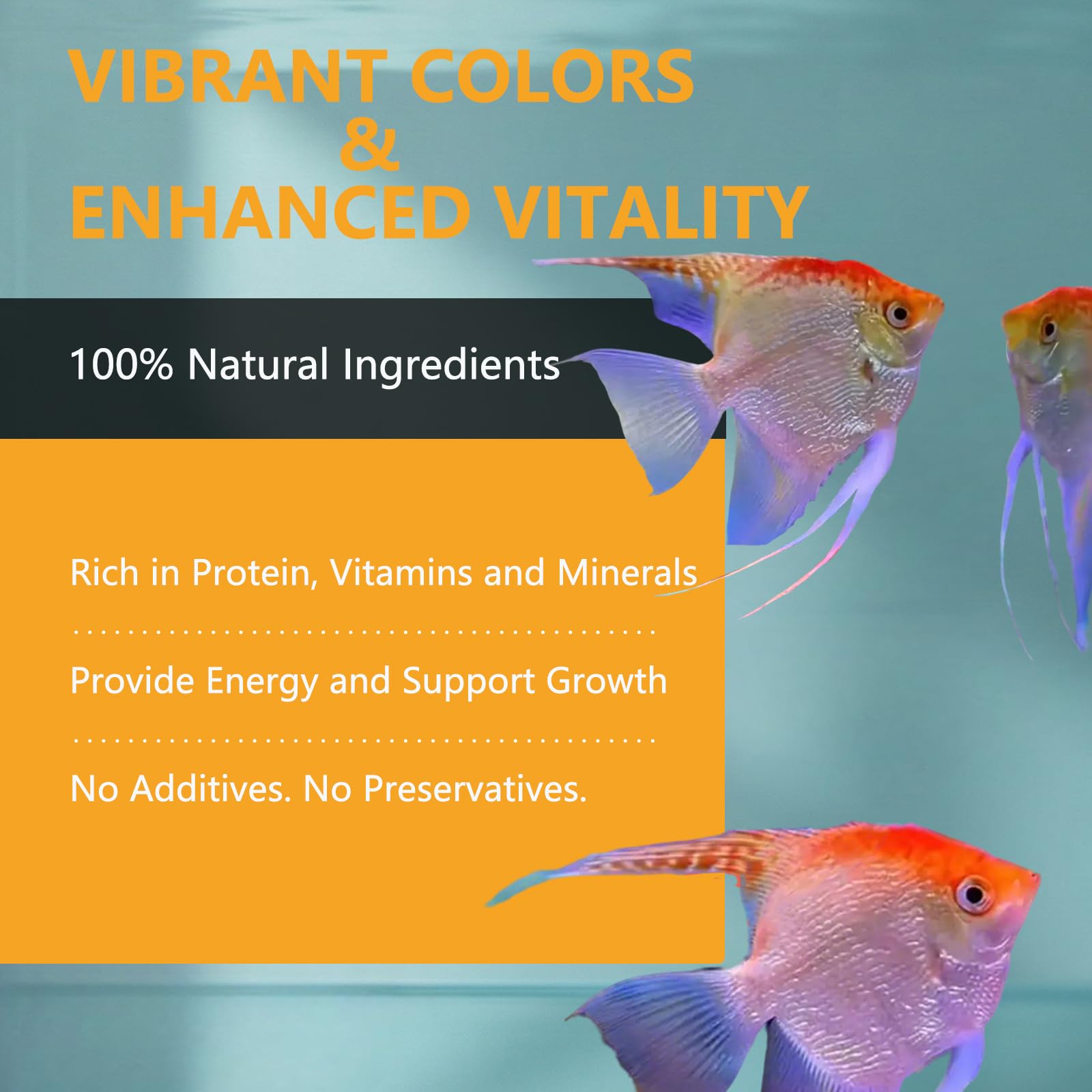 JADINGSFARM alimentation versée dans un aquarium illustrant dosage précis et propreté