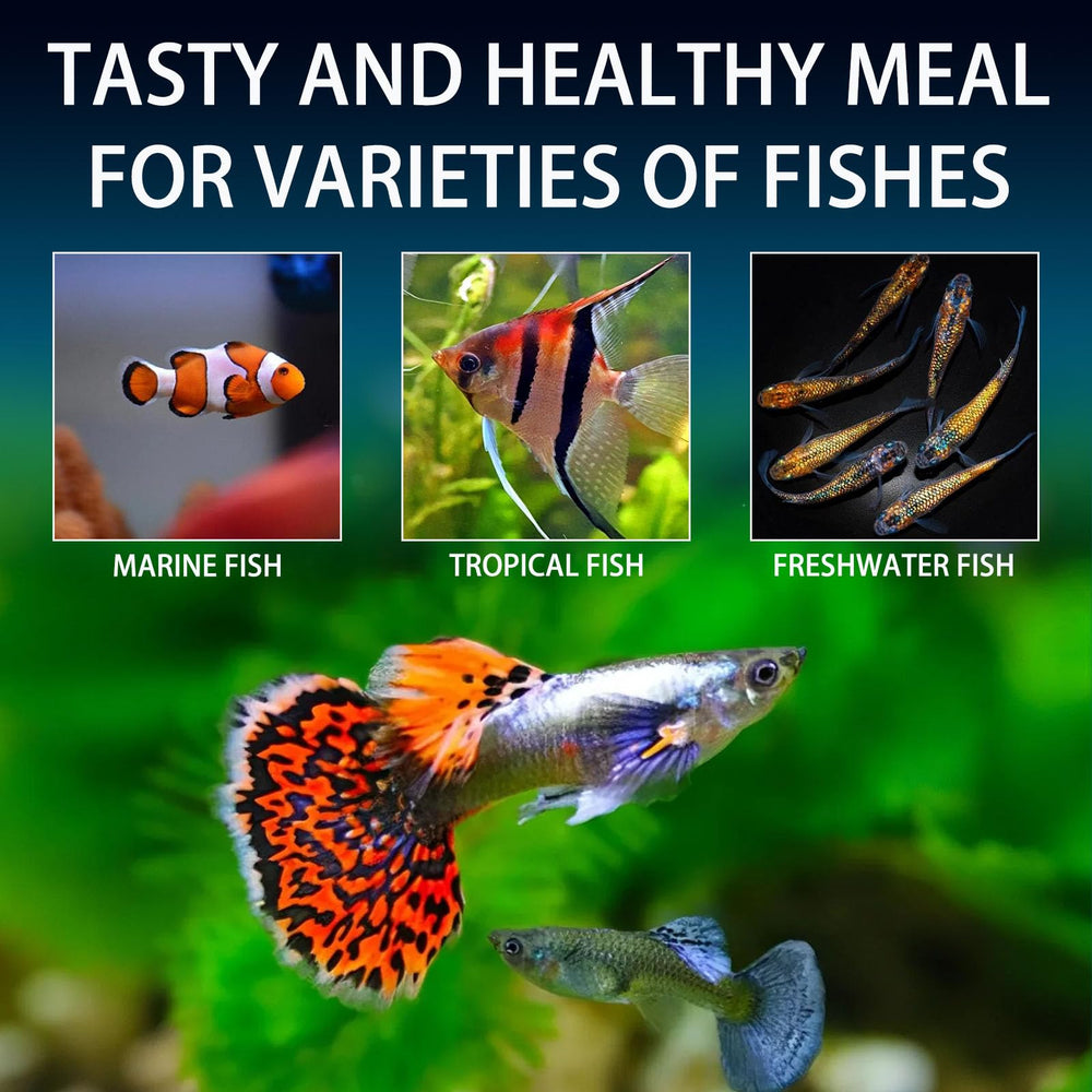 JADINGSFARM produit distribué dans aquarium avec betta montrant appétit et acceptation