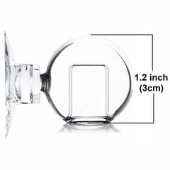 Gros plan verre borosilicate JARDLI montrant la robustesse et lisibilité de la solution