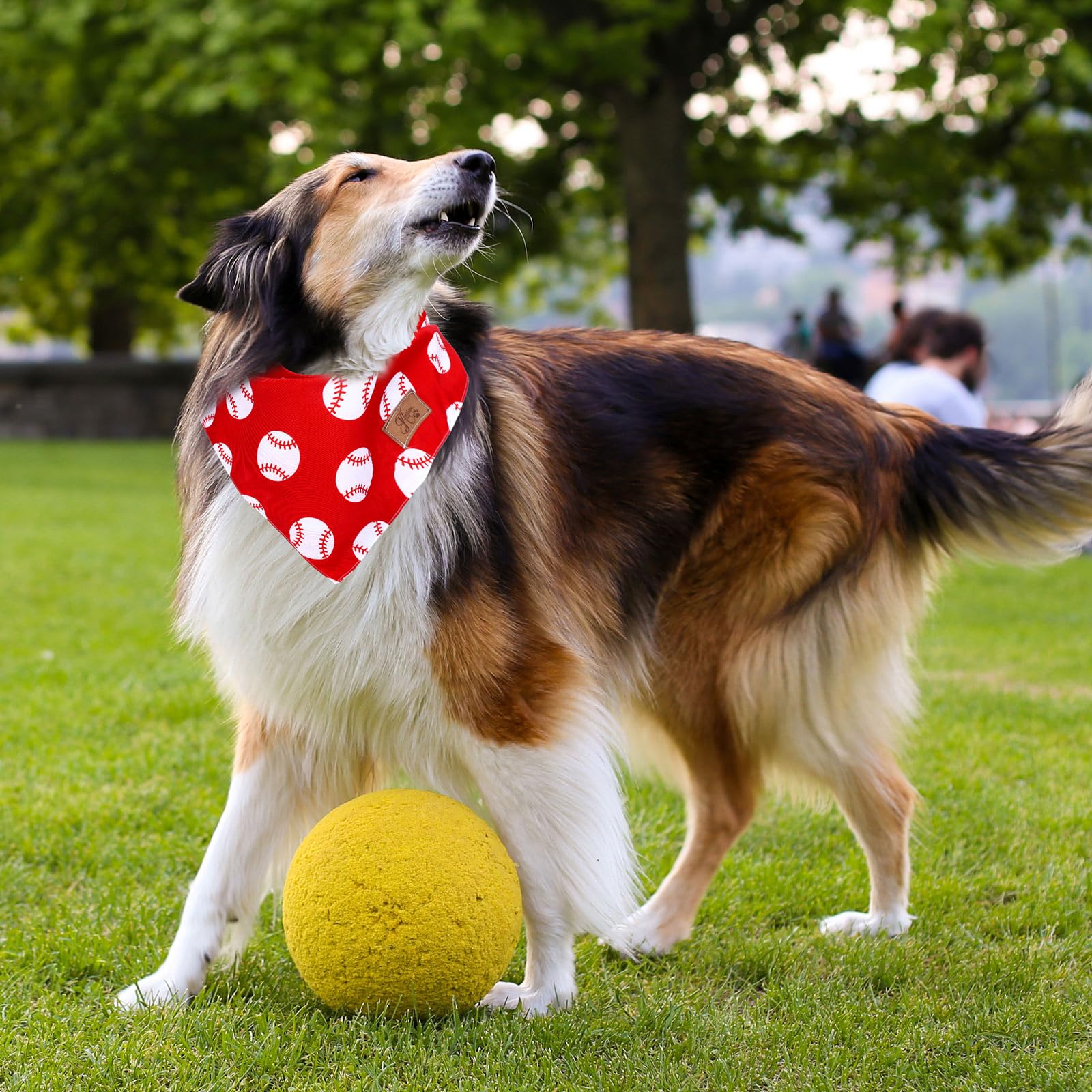JarThenaAMCS bandana ambiance fête rendant chien photogénique et chic