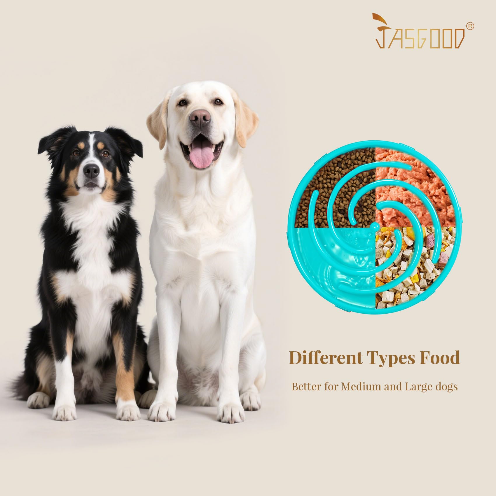 JASGOOD gamelle en usage avec chien mangeant plus lentement et jouissant