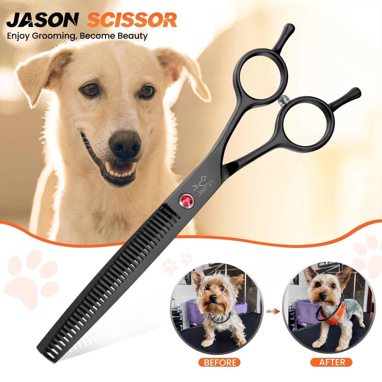 JASON lame gros plan acier 440C illustrant netteté et coupe précise durable