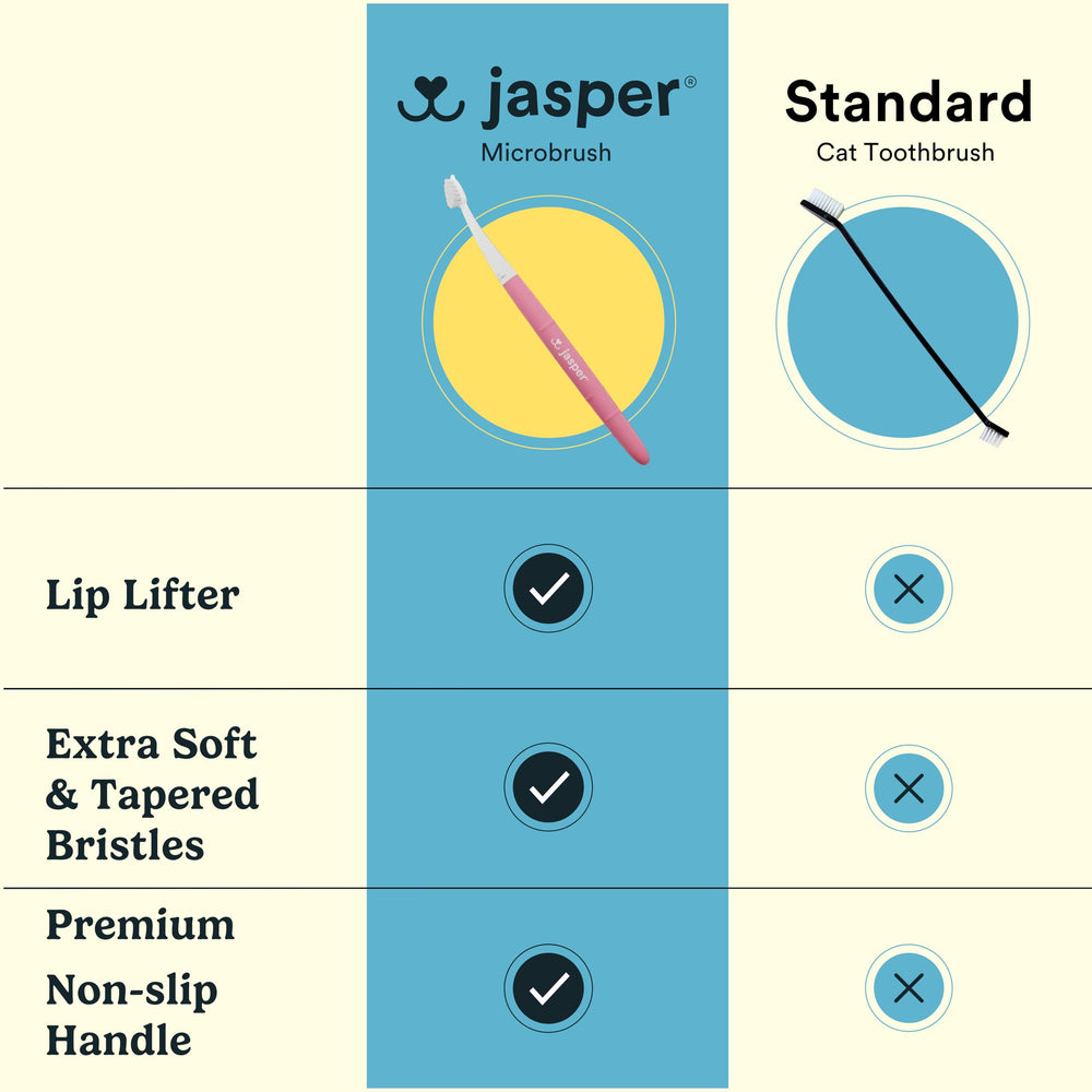 Jasper contenu du kit posé sur table montrant emballage et accessoires