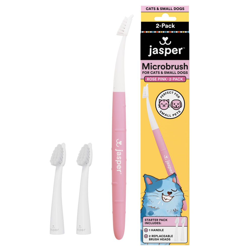 Jasper vue de face de la brosse rose montrant paquet et finition pratique