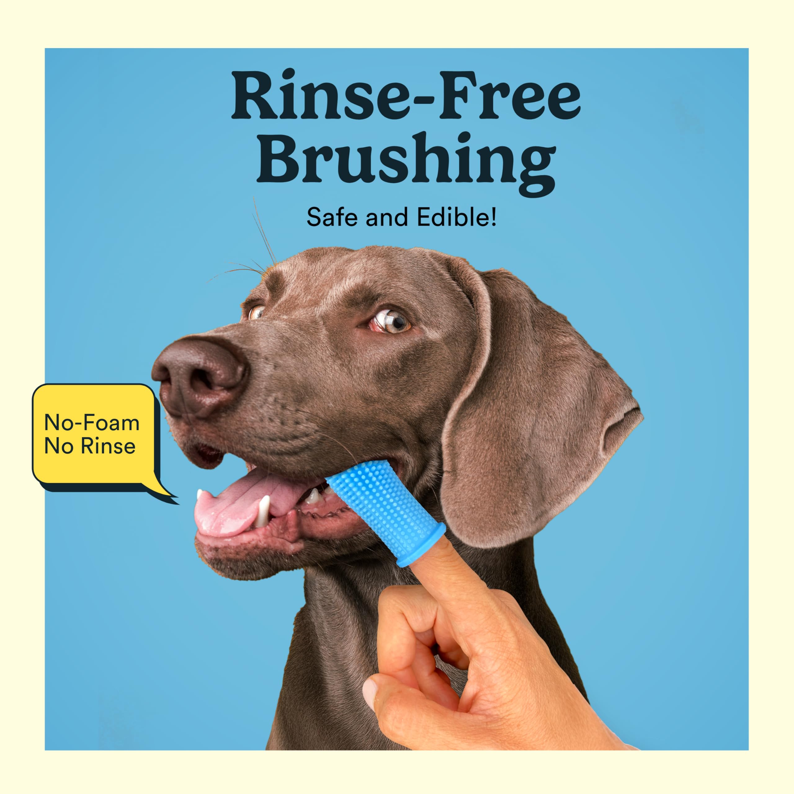 Jasper emballage et mode d'emploi lisible pour une utilisation sûre à la maison