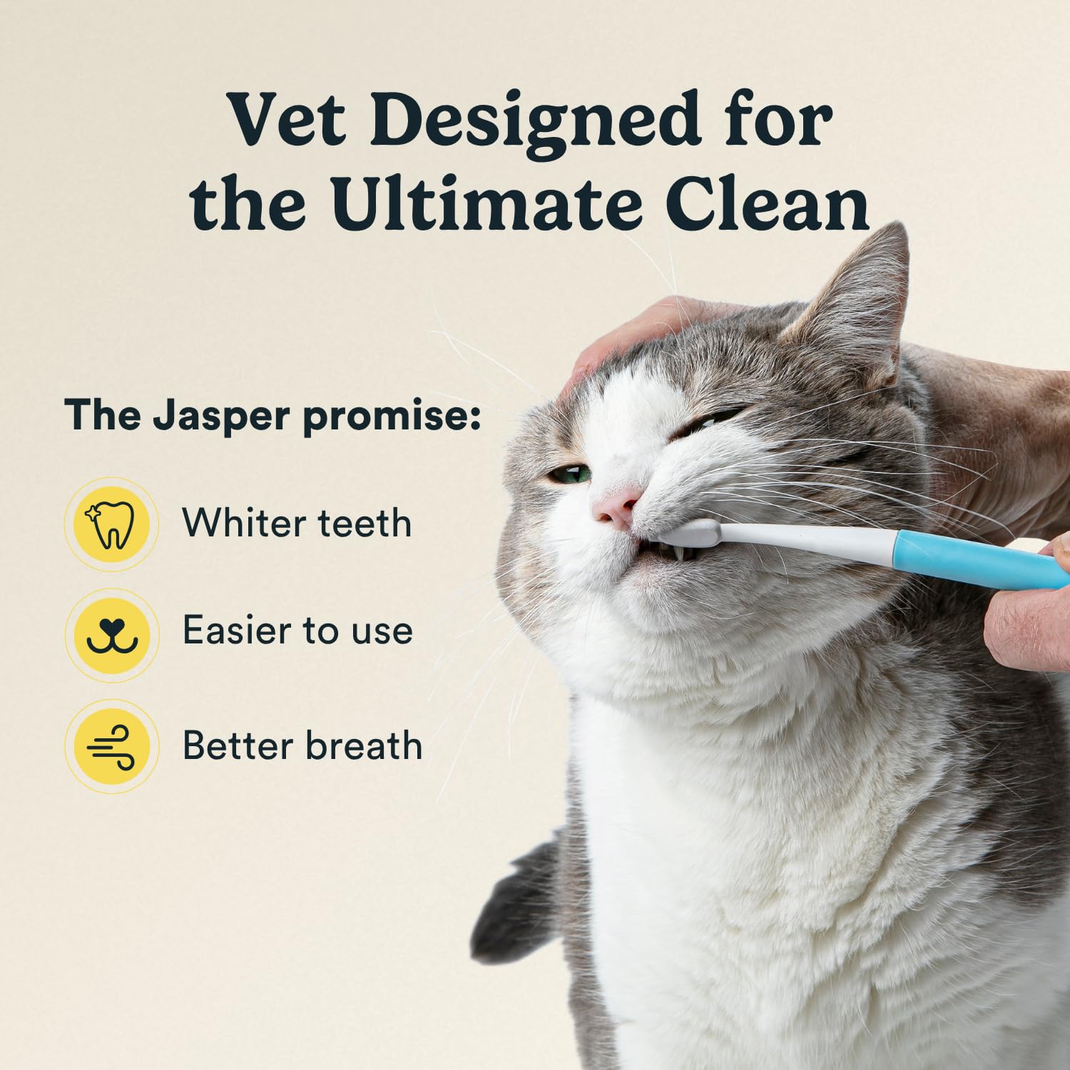 Jasper microbrush gros plan de la tête illustrant alignement adapté aux petites dents