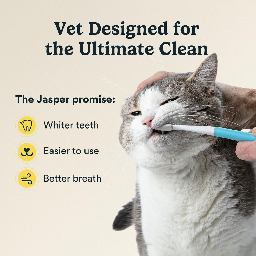 Jasper microbrush gros plan de la tête illustrant alignement adapté aux petites dents