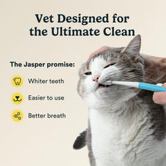 Jasper microbrush gros plan de la tête illustrant alignement adapté aux petites dents