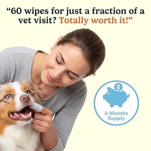 Jasper scène de vie cosy avec chien, routine d'hygiène simple et douce