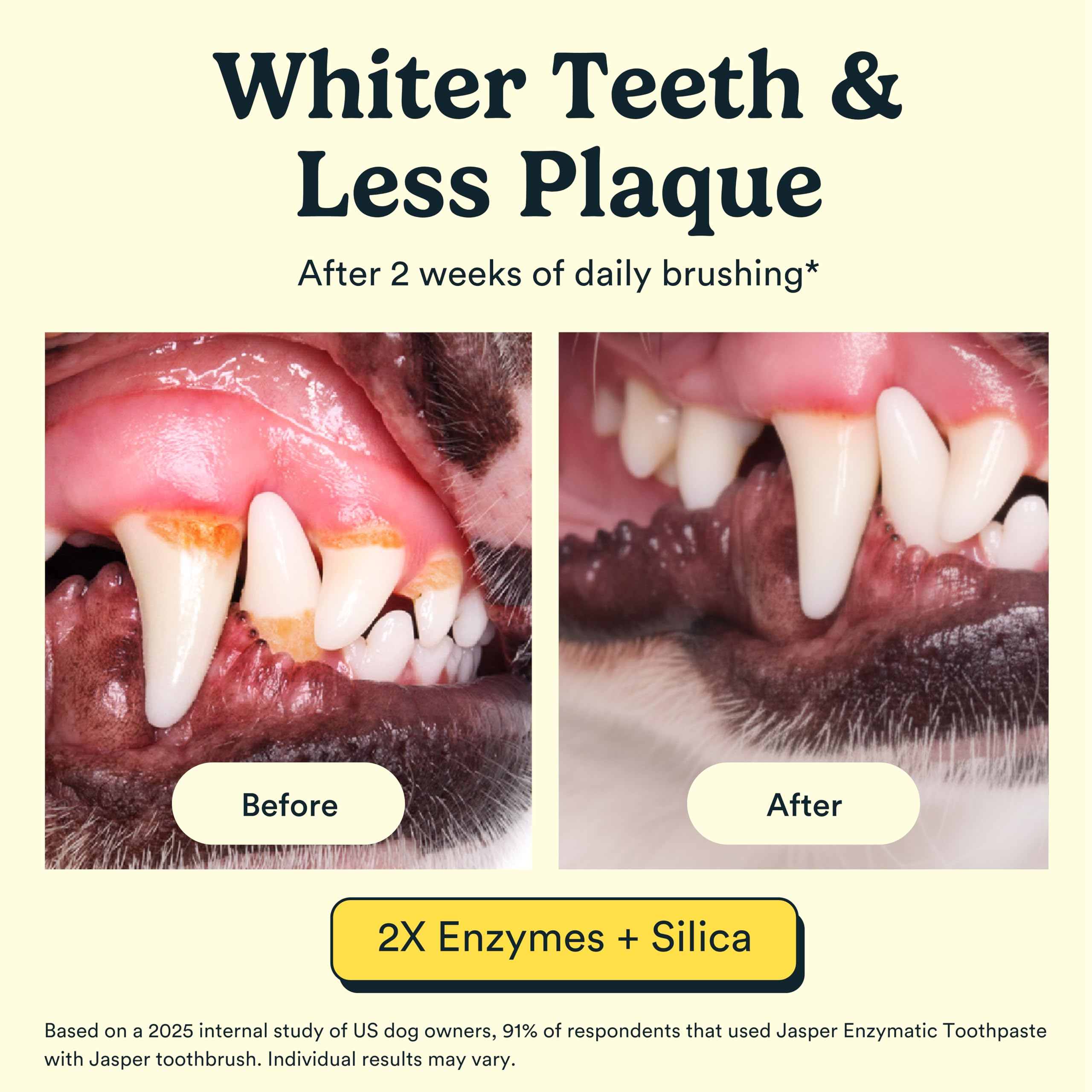 Jasper texture du dentifrice montrant consistance enzymatique