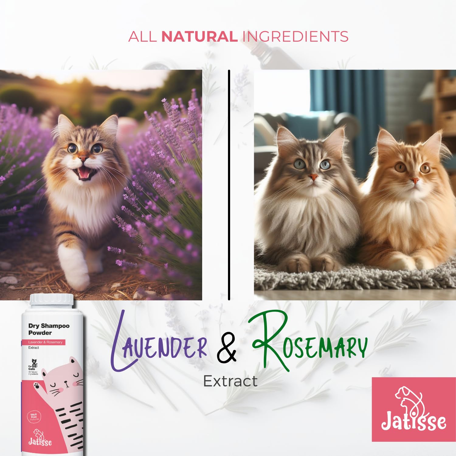jatisse comparaison taille flacon illustrant capacité 5,29 fl. oz pour usage prolongé