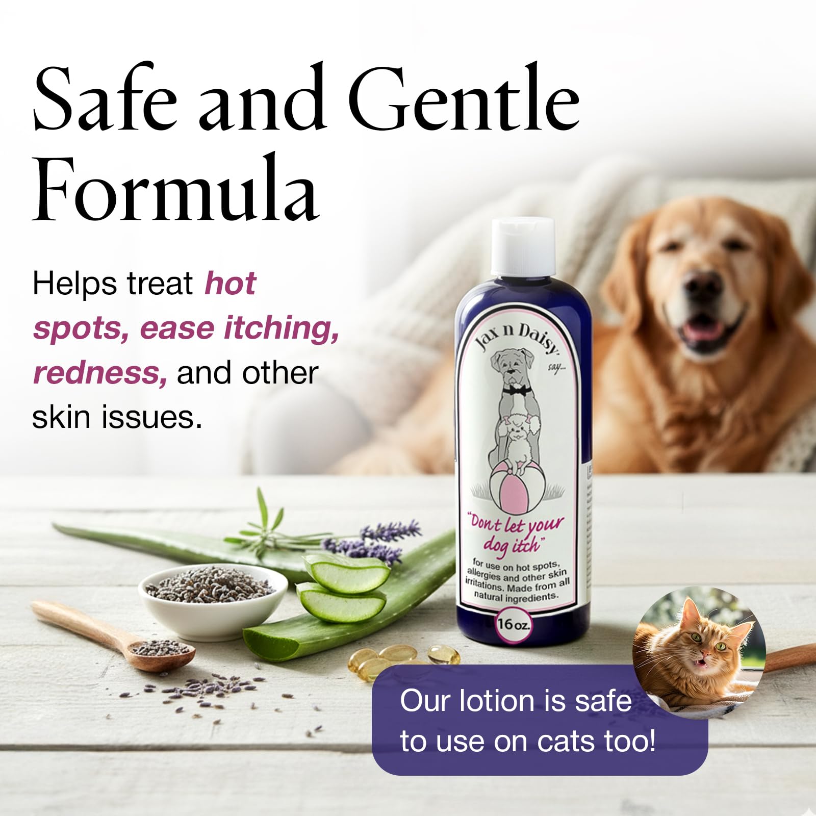 Jax N Daisy lotion appliquée sur chien illustrant apaisement local