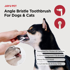 JAYU PET angle diagonal des brins guidant le long de la gencive
