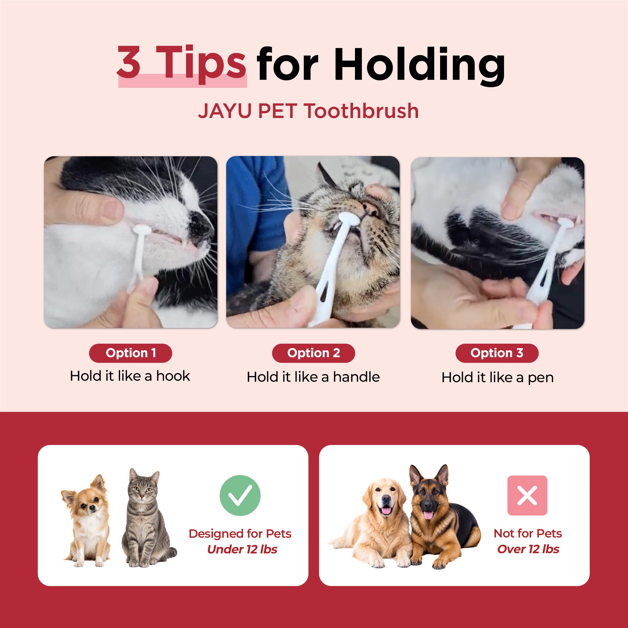 JAYU PET comparaison taille montrant l’échelle pour petites mâchoires