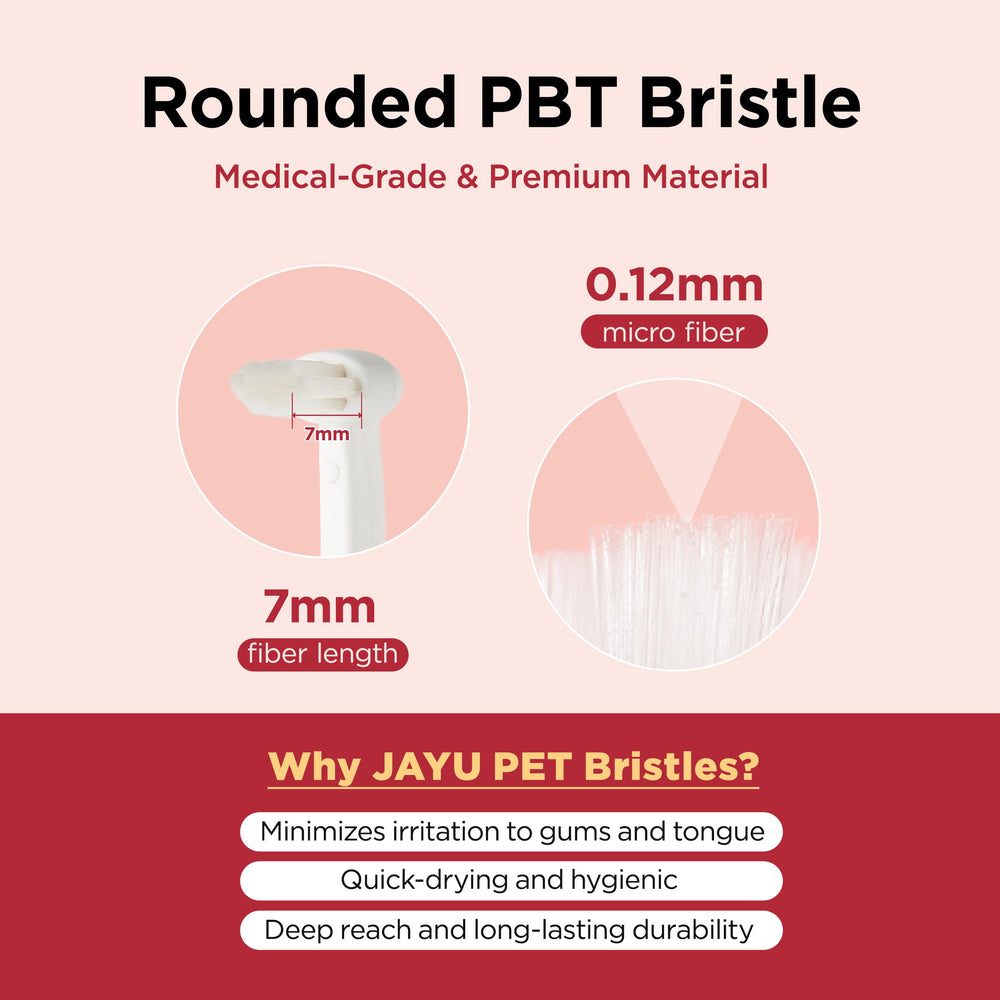 JAYU PET brosse en main montrant taille et échelle pratique