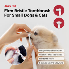 JAYU PET profil de la tête facilitant accès aux molaires
