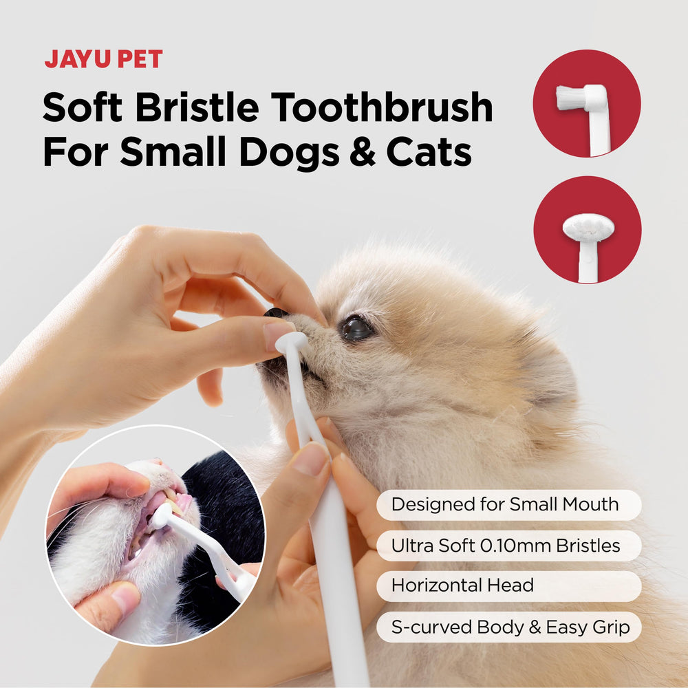 JAYU PET profil en S illustrant courbure adaptée à la bouche animale