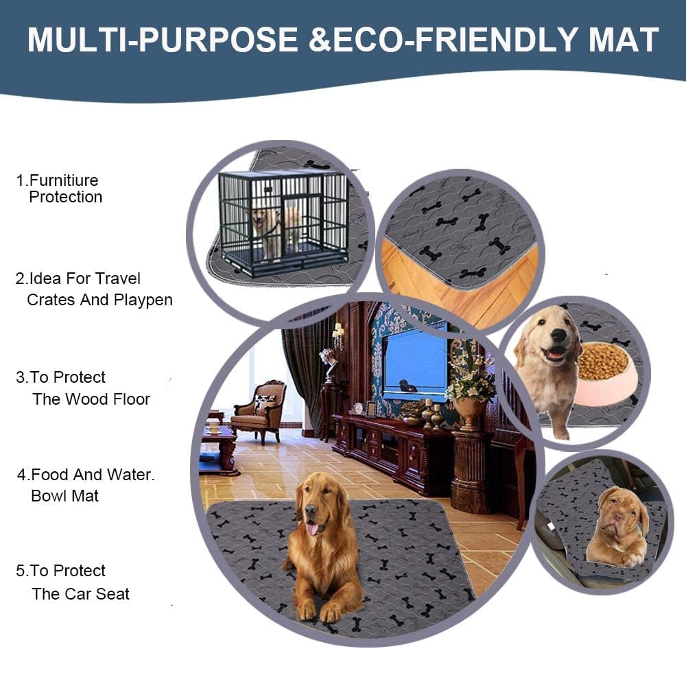 JdPet chien allongé sur le tapis montrant protection et confort pendant le repos