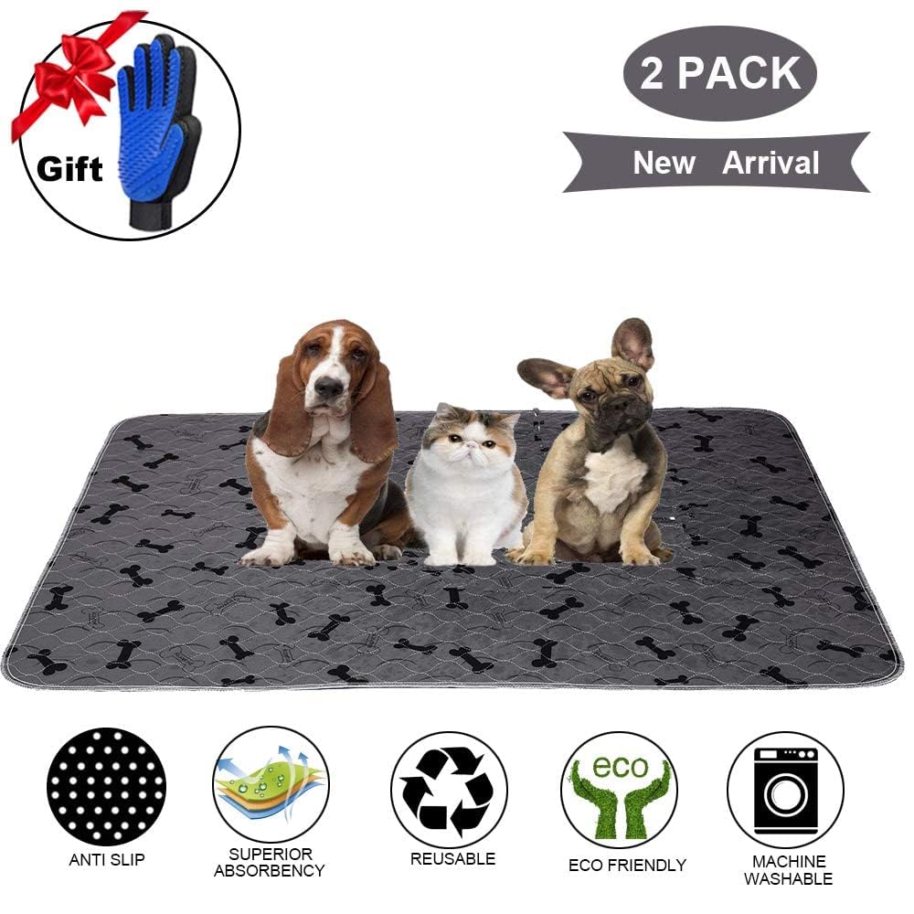 JdPet coupe en sections montrant les 4 couches absorbantes et la barrière imperméable