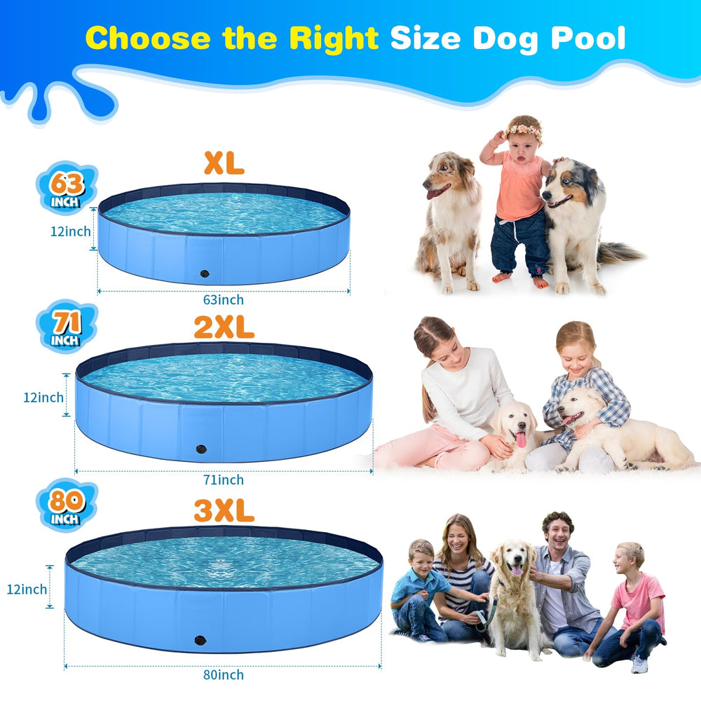 Jecoo chien dans piscine illustrant confort et rafraîchissement