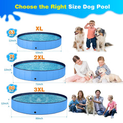 Jecoo chien dans piscine illustrant confort et rafraîchissement