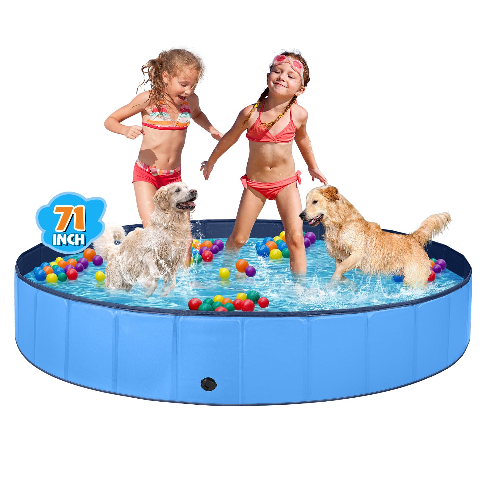 Jecoo piscine face avant montrant stabilité et espace pour chiens