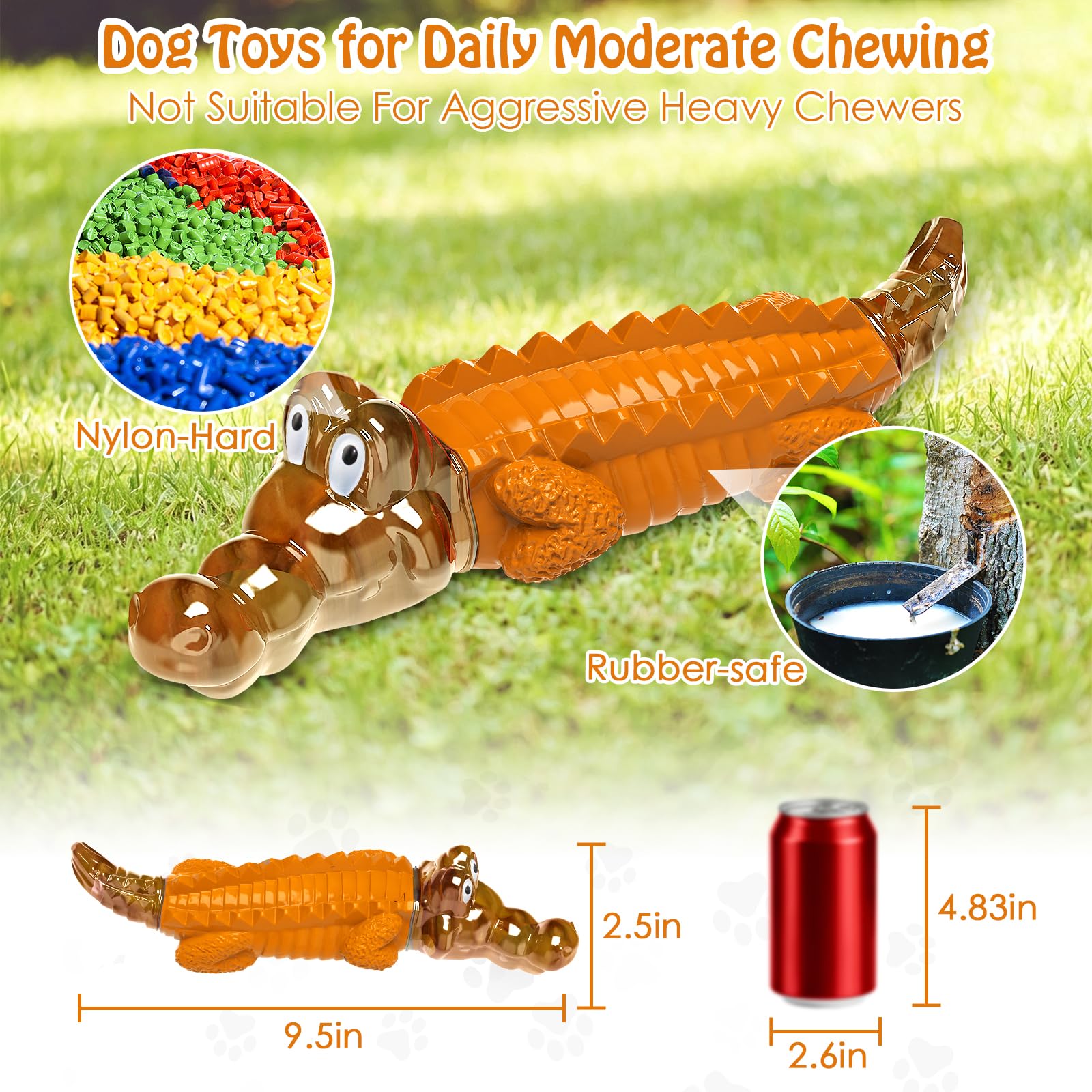 Jeefome crocodile gros plan texture dos qui masse les gencives