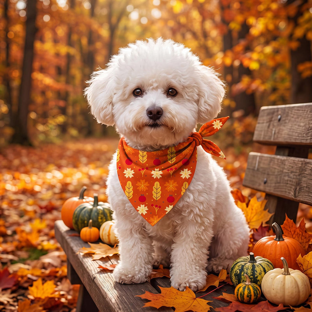Jeere comparaison taille bandana adapté à différents chiens