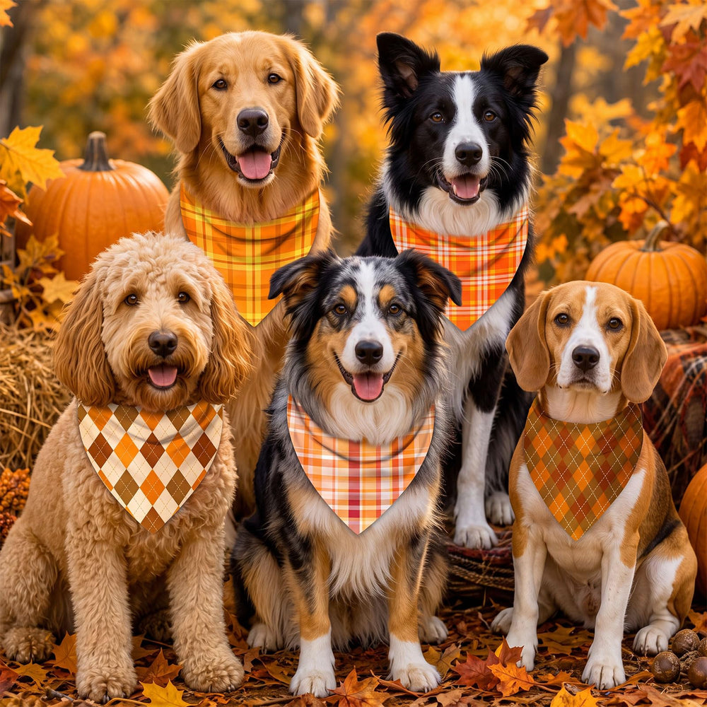 Jeere bandana présenté dans décor d'automne, met en valeur l'ambiance saisonnière