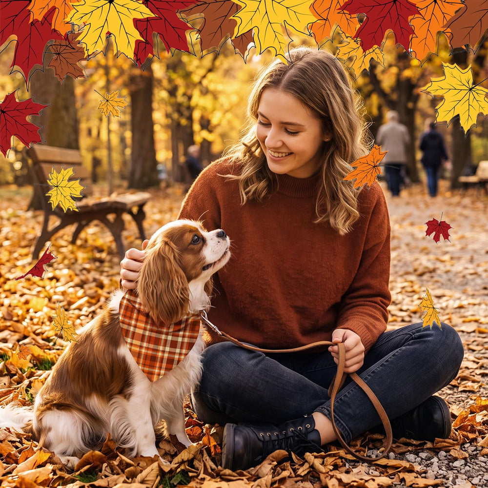 Jeere plusieurs chiens en bandanas créant ambiance automnale conviviale