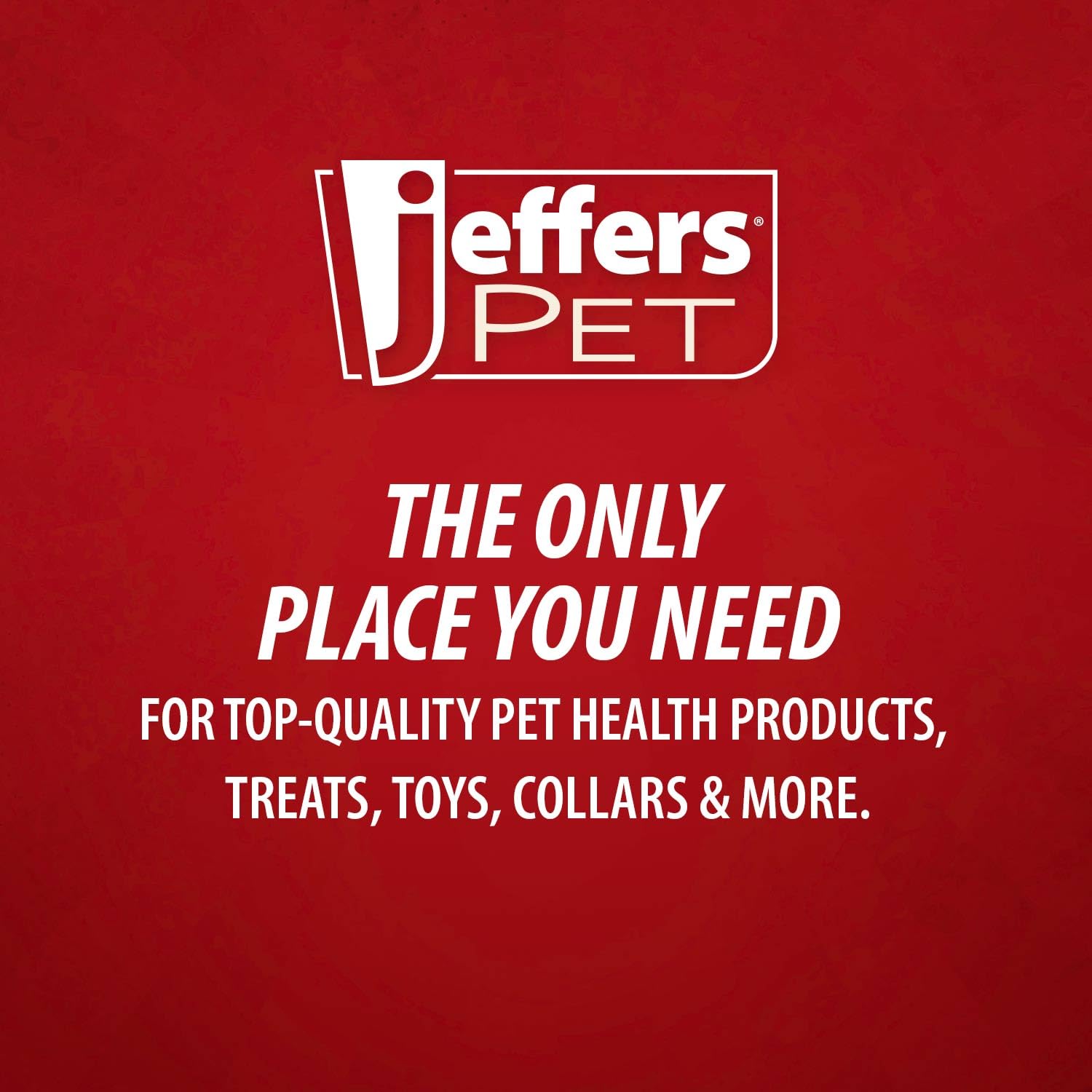 Jeffers shampooing en usage sur chien facilitant le démêlage