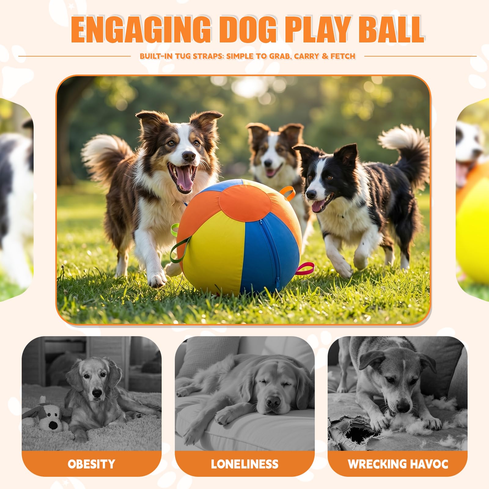 Jegkzovc chiens jouant dans le jardin, encourage l'exercice quotidien