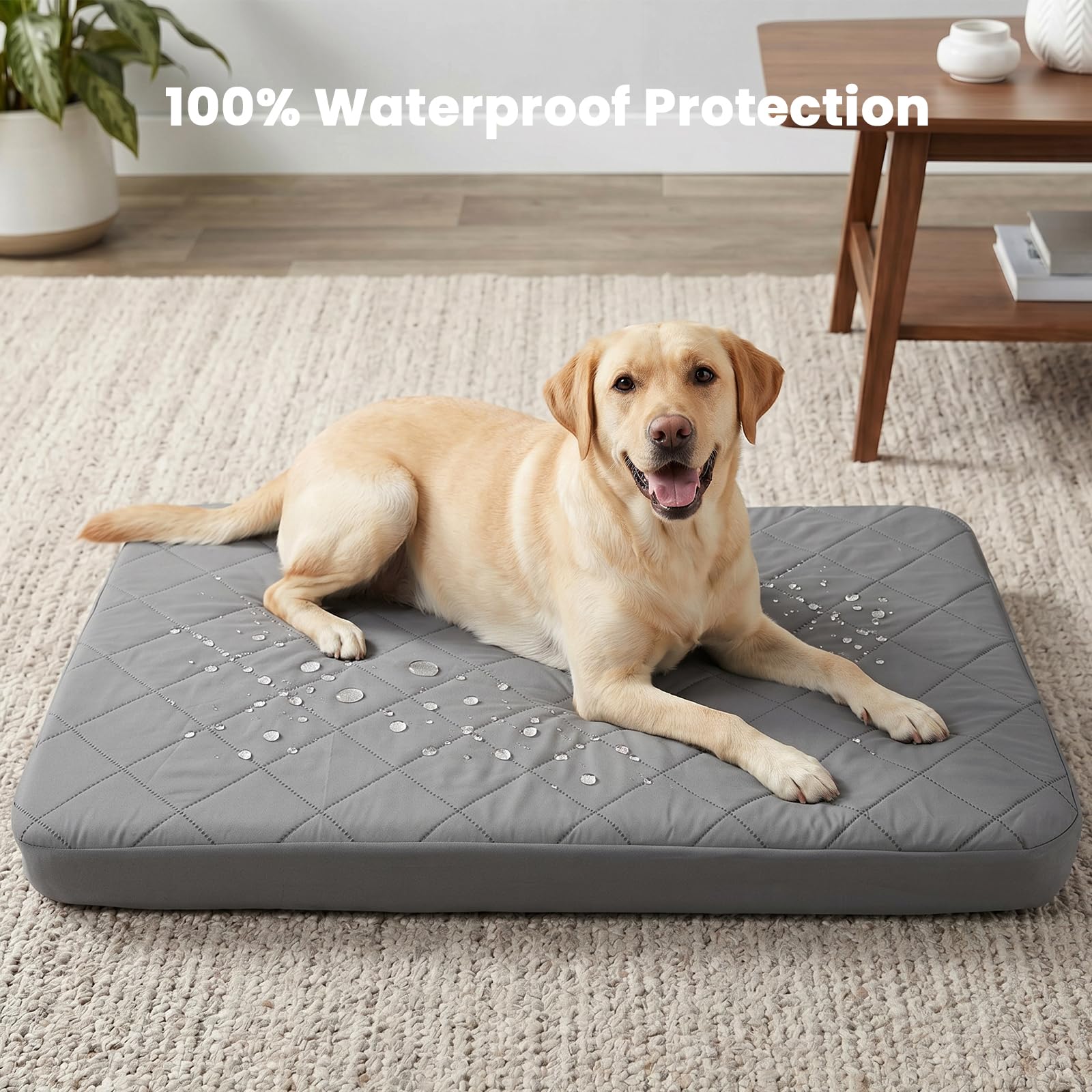Jehdhe coupe montrant les trois couches et barrière imperméable