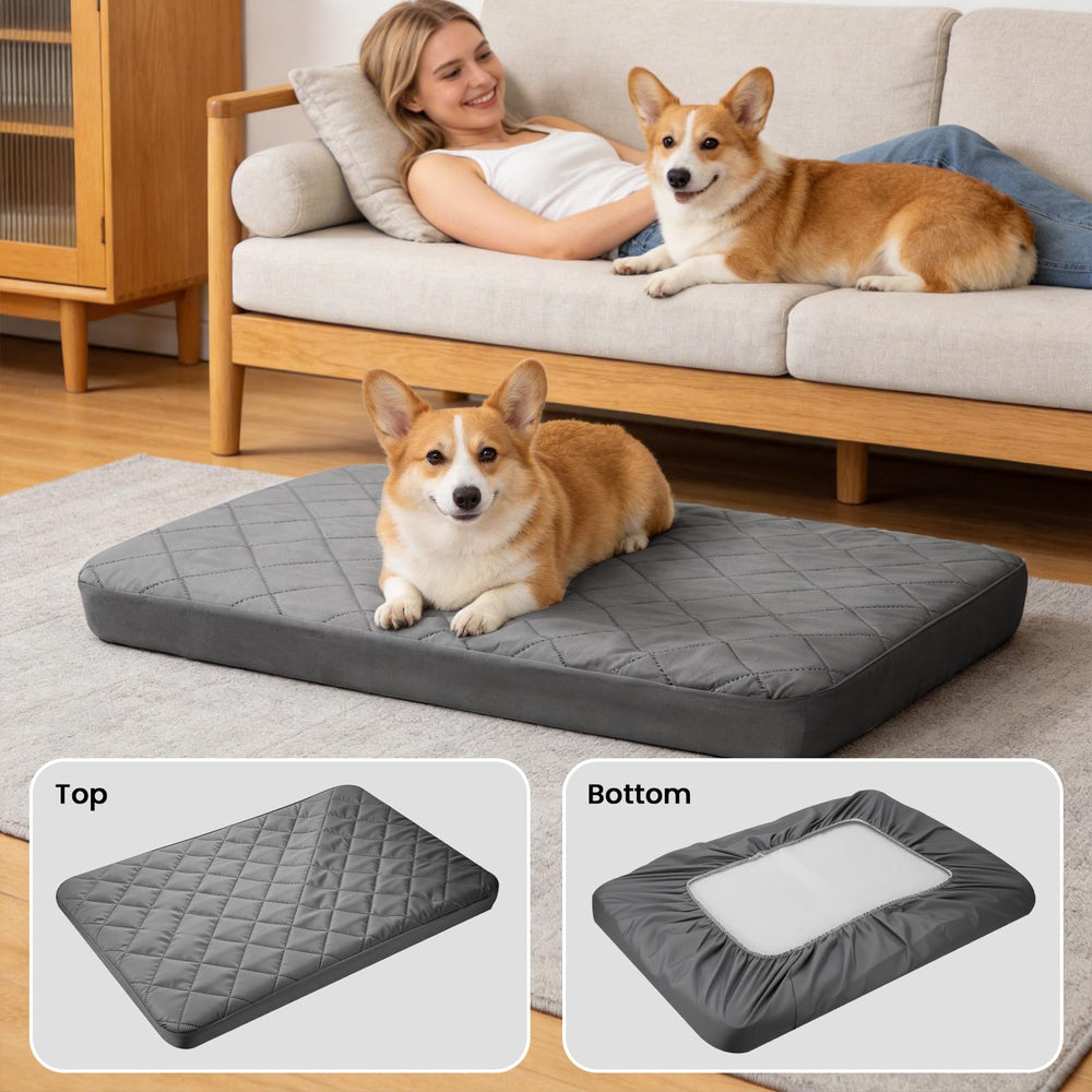 Jehdhe housse installée sur lit de chien illustrant maintien et confort