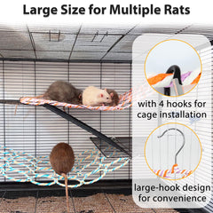 Rat utilisant le filet Jevnd pour grimper, stimulant exercice et jeu