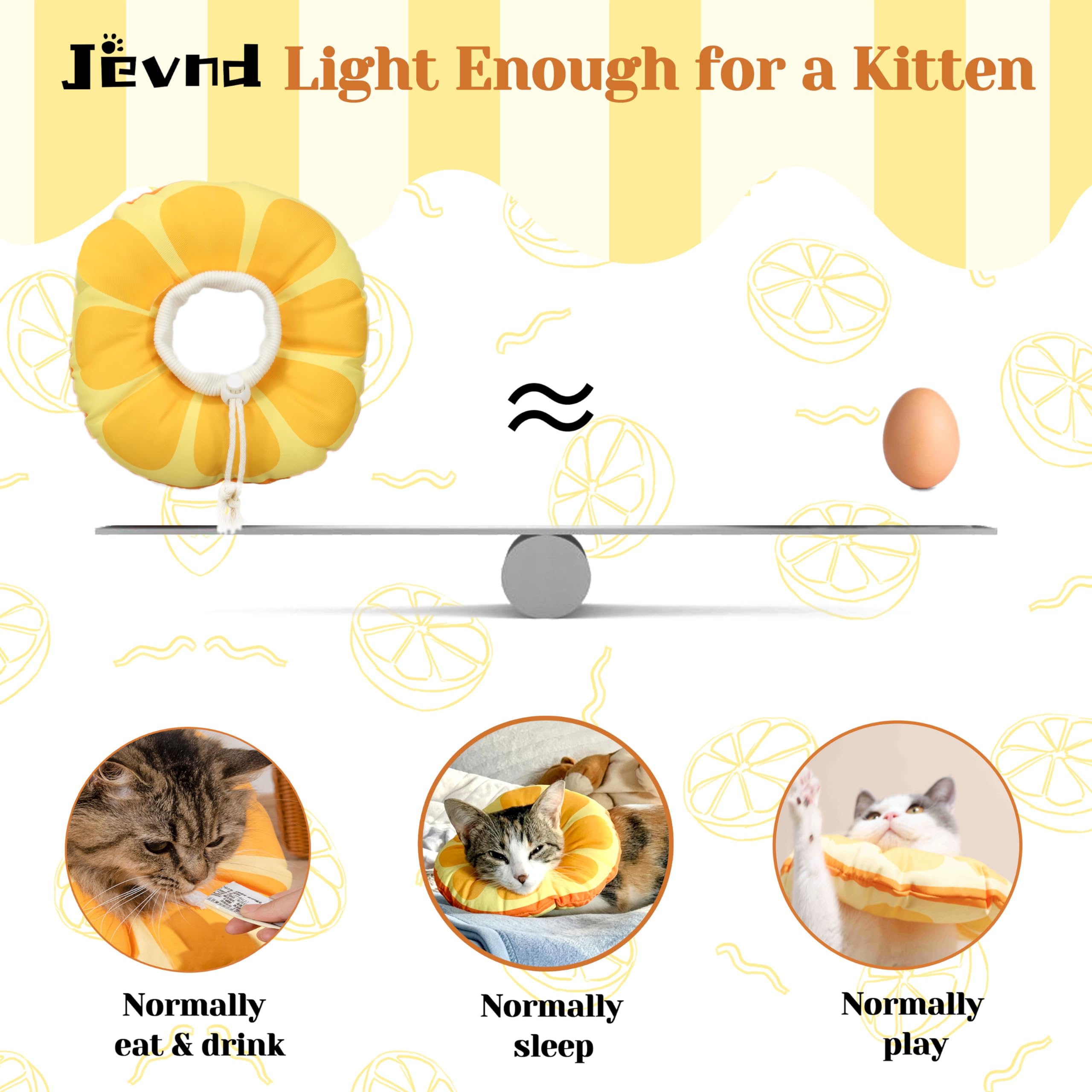 Jevnd collier porté par chaton montrant mouvement et protection