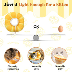 Jevnd collier porté par chaton montrant mouvement et protection